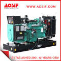 China OEM Factory Supplier 80kw 100kVA Generator Set